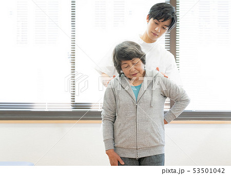 理学療法士 理学療法士 53501042