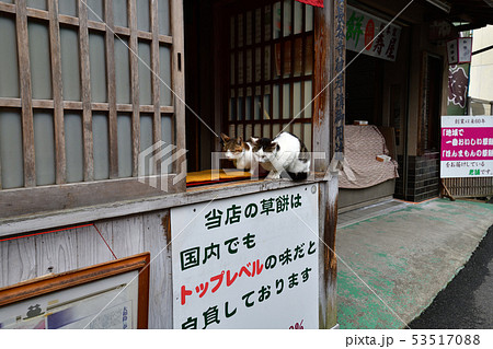 長谷寺より 長谷寺より 53517088