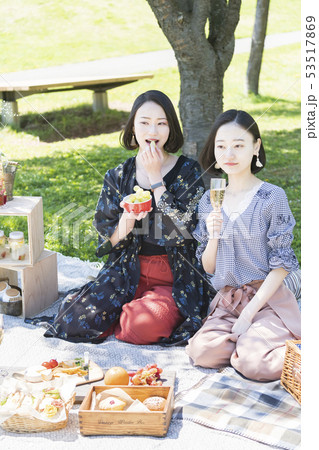 ピクニックイメージ 53517869