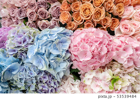 Floral carpet or Wallpaper. Background of mix of flowers. Beautiful flower for catalog or online Floral carpet or Wallpaper. Background of mix of flowers. Beautiful flower for catalog or online 53539484