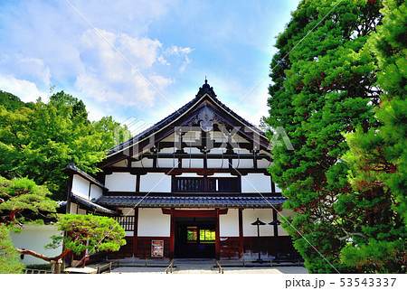 京都南禅寺青もみじ 京都南禅寺青もみじ 53543337