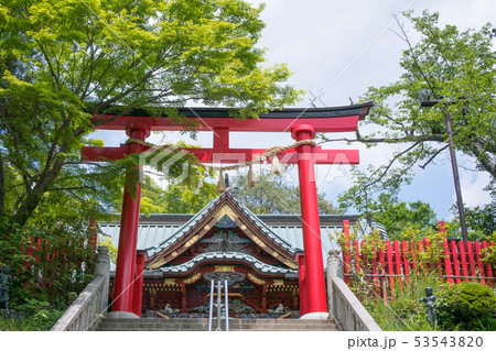 高尾山 高尾山薬王院 本社(権現堂)鳥居 高尾山 高尾山薬王院 本社(権現堂)鳥居 53543820