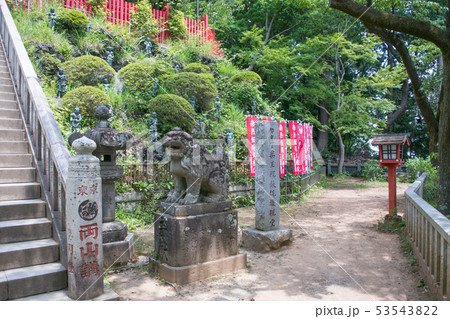 高尾山 高尾山薬王院 本社(権現堂)前の三十六童子像 高尾山 高尾山薬王院 本社(権現堂)前の三十六童子像 53543822