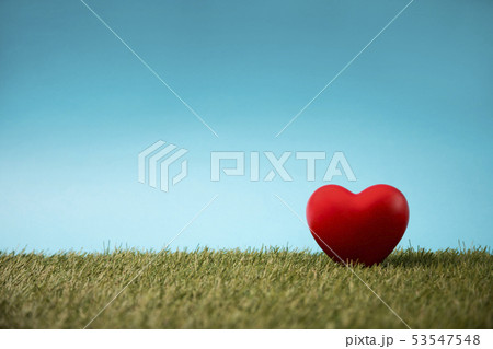 Red heart on green grass and blue sky Red heart on green grass and blue sky 53547548