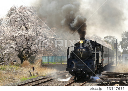春の真岡鉄道SL 春の真岡鉄道SL 53547635