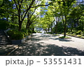 ビジネス街の木漏れ日 53551431