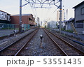 長く続く線路 53551435