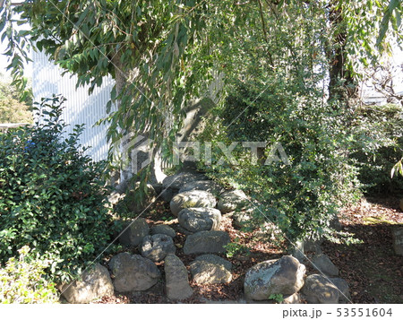 坂東市の富士見の馬場(平将門史跡) 坂東市の富士見の馬場(平将門史跡) 53551604