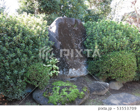 坂東市の島広山・石井営所跡 53553709