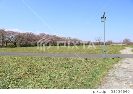 北上市立公園展勝地 北上市立公園展勝地 53554640