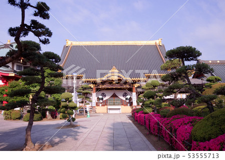 佐野市　佐野厄よけ大師 53555713