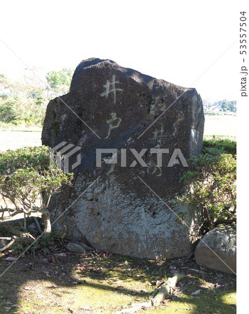 坂東市の石井の井戸 坂東市の石井の井戸 53557504