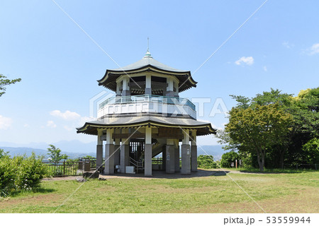 弘法山公園  ハイキング 53559944
