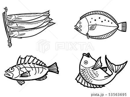 魚のピクトセット 53563695