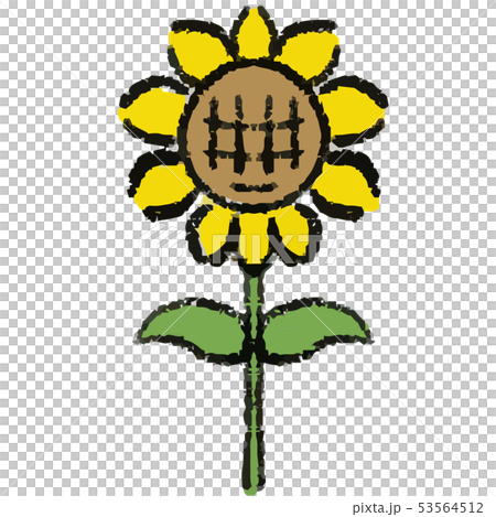 ひまわりのイラスト 53564512