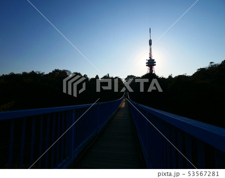 冬の宇都宮タワー 53567281