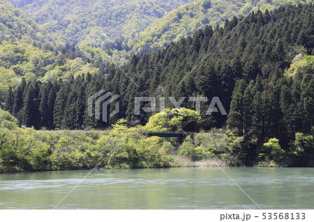 阿賀野川と磐越西線の鉄橋 阿賀野川と磐越西線の鉄橋 53568133
