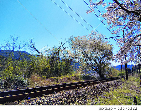 大井川鐡道１ 53575322
