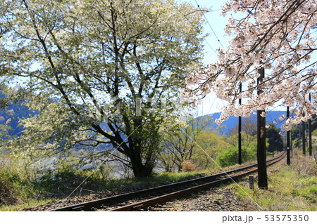 大井川鐡道１１ 53575350