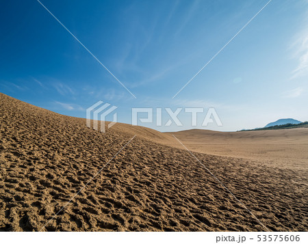 鳥取砂丘 53575606