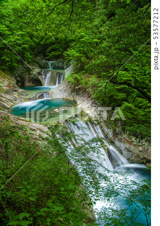 新緑の西沢渓谷　七ツ釜五段の滝 53577212
