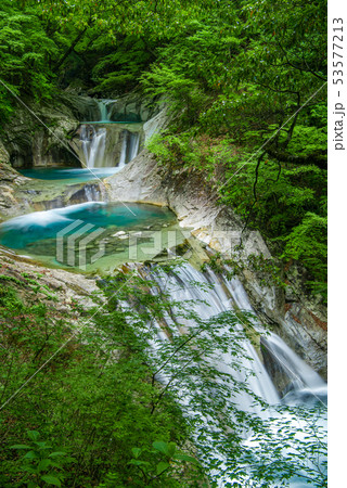 新緑の西沢渓谷 七ツ釜五段の滝 新緑の西沢渓谷 七ツ釜五段の滝 53577213
