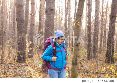 People and nature concept -Traveller woman walking in the forest 53586306