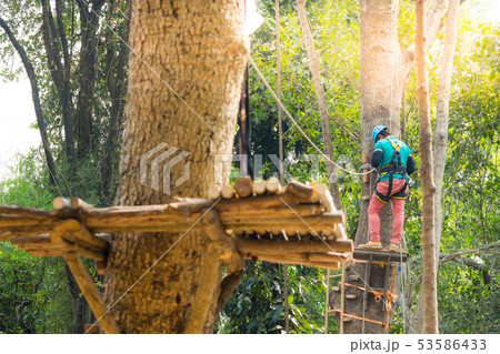 Backside of man on tree with helmet and belt 53586433