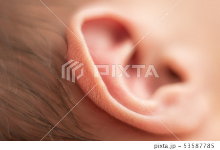 hairs on the ear of a newborn baby, cute, body hairs on the ear of a newborn baby, cute, body 53587785