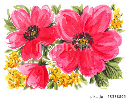 flowers19601pix7 53588896