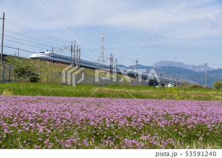 春の風景と東海道新幹線N700系 春の風景と東海道新幹線N700系 53591240
