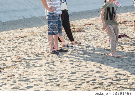 海で遊ぶ家族 海で遊ぶ家族 53591468