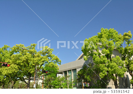 高知 53591542