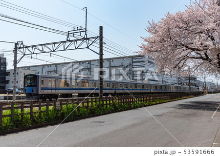 西武新宿線と桜 20000系 西武新宿線と桜 20000系 53591666