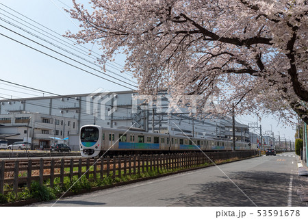 西武新宿線と桜　30000系（スマイルトレイン） 53591678