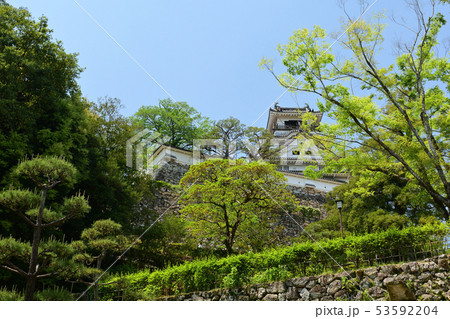 日本100名城・高知城 53592204
