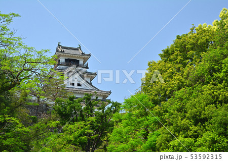 日本100名城・高知城 53592315