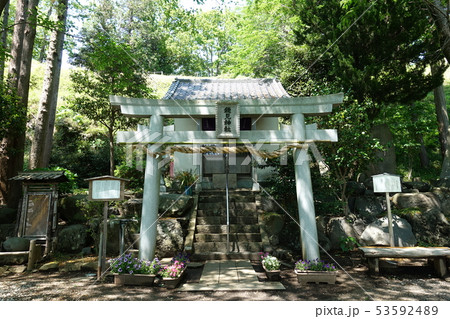 興国寺城(穂見神社) 興国寺城(穂見神社) 53592489
