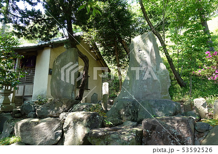 興国寺城の石碑 興国寺城の石碑 53592526
