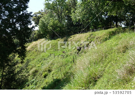 興国寺城天守台 興国寺城天守台 53592705