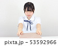 宿題を提出する制服の女子高校生1 53592966