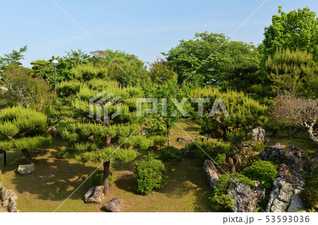 高知・五台山 高知・五台山 53593036