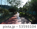 道 日差し 暖かさ 53593104
