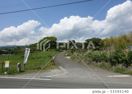 興国寺城（続日本百名城） 53593140