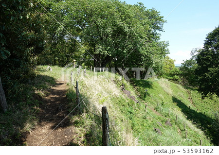 興国寺城(続日本百名城) 興国寺城(続日本百名城) 53593162