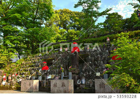 高知・竹林寺 53593228