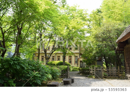 新緑と洋風建物の風景 新緑と洋風建物の風景 53593363