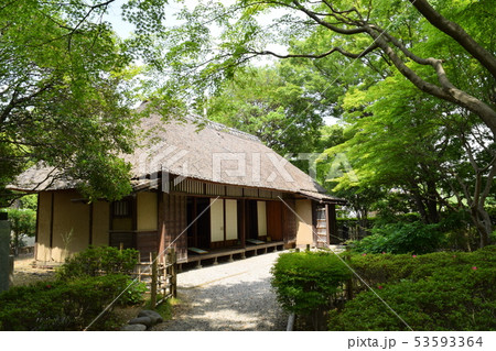 新緑と日本家屋の風景 新緑と日本家屋の風景 53593364