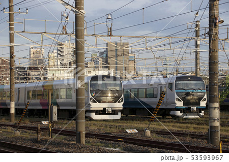 E257系あずさ号とE257系踊り子号 53593967