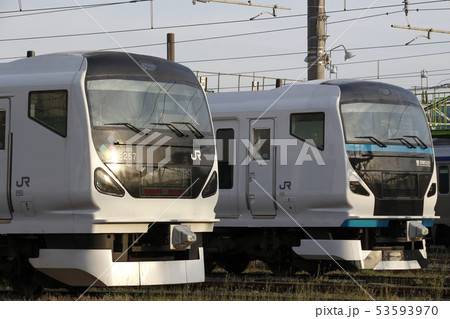 E257系あずさ号とE257系踊り子号 53593970